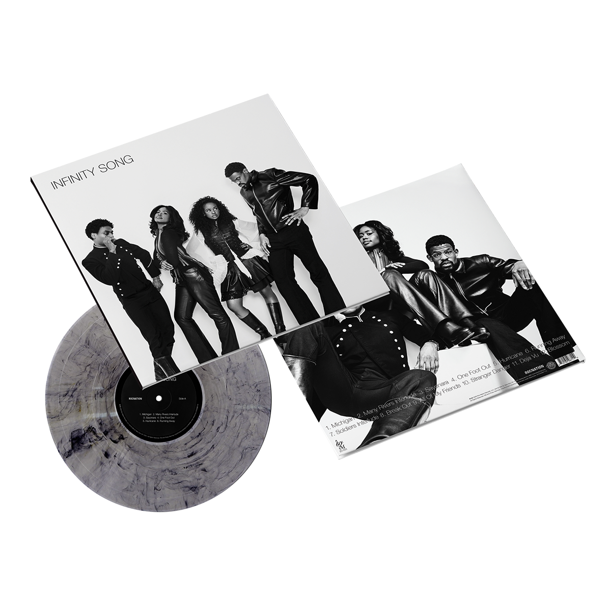 INFINITY SONG Vinyl (White Noise Static)